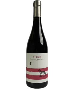 Virgo Aglianico 2023
