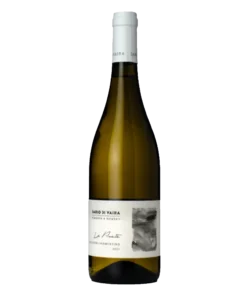 Vermentino Bolgheri